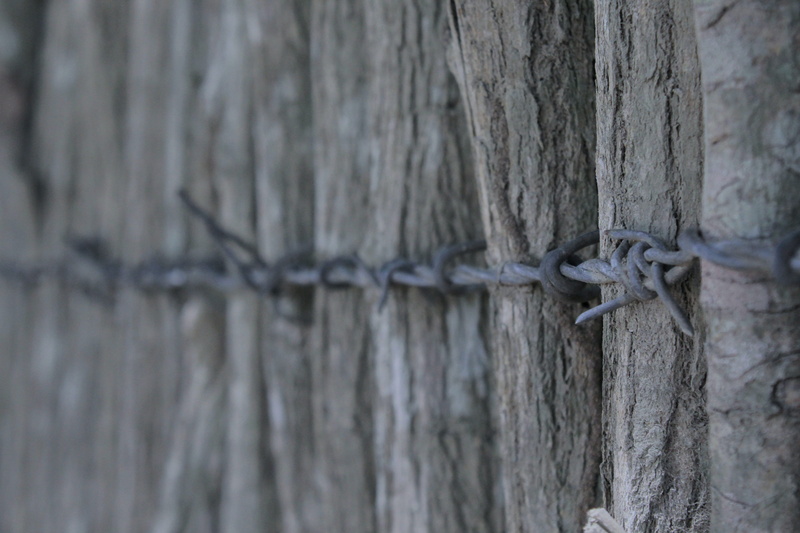 backgrounds, textured effect, building, barrier, cuba, rust, wood - material, boundary, wood, prison, focus on foreground, 5K, chain, safety, crystal