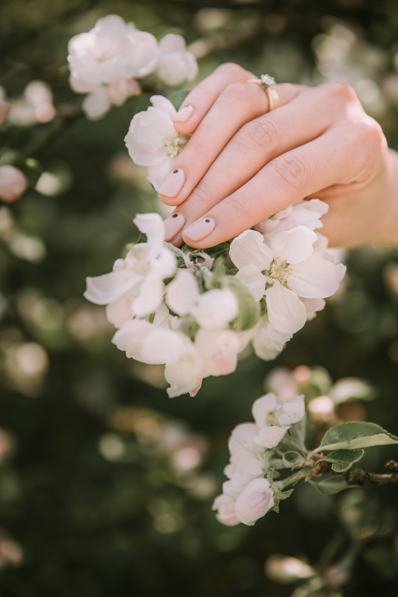 nail, white color, hornet, vulnerability, human hand, insect, freshness, one person, animal, selective focus, flower, outdoors, 5K, fragility, holding