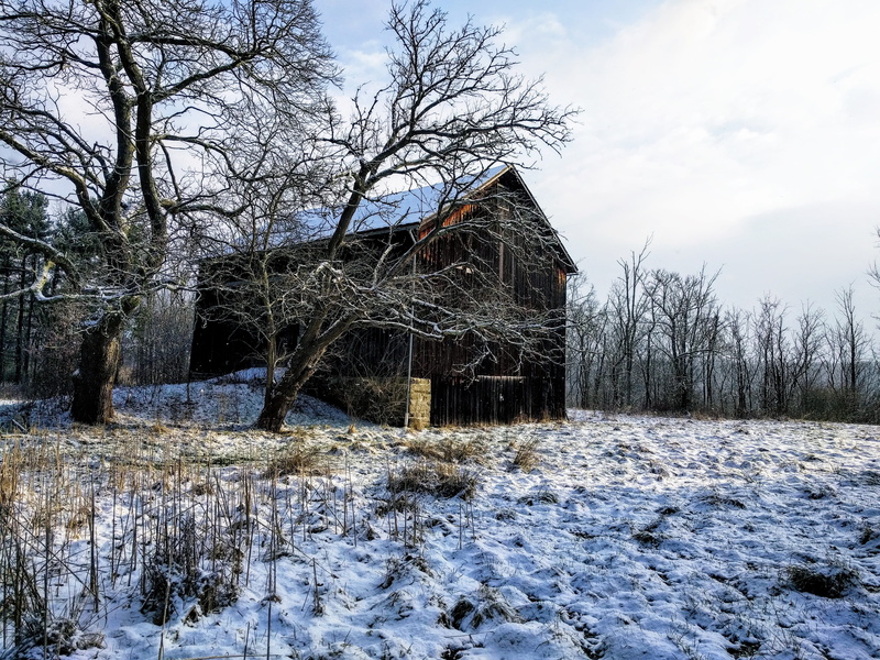 plant, landscape, cabin, snow, united states, bare tree, winter, building, cuyahoga valley national park, cottage, 4K, nature, building exterior, outdoors