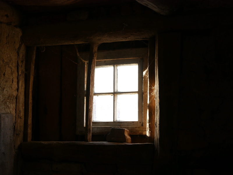 domestic room, historically, Old, wood - material, nature, antique, glass - material, basement, old building, ruined, built structure, run-down, Keller