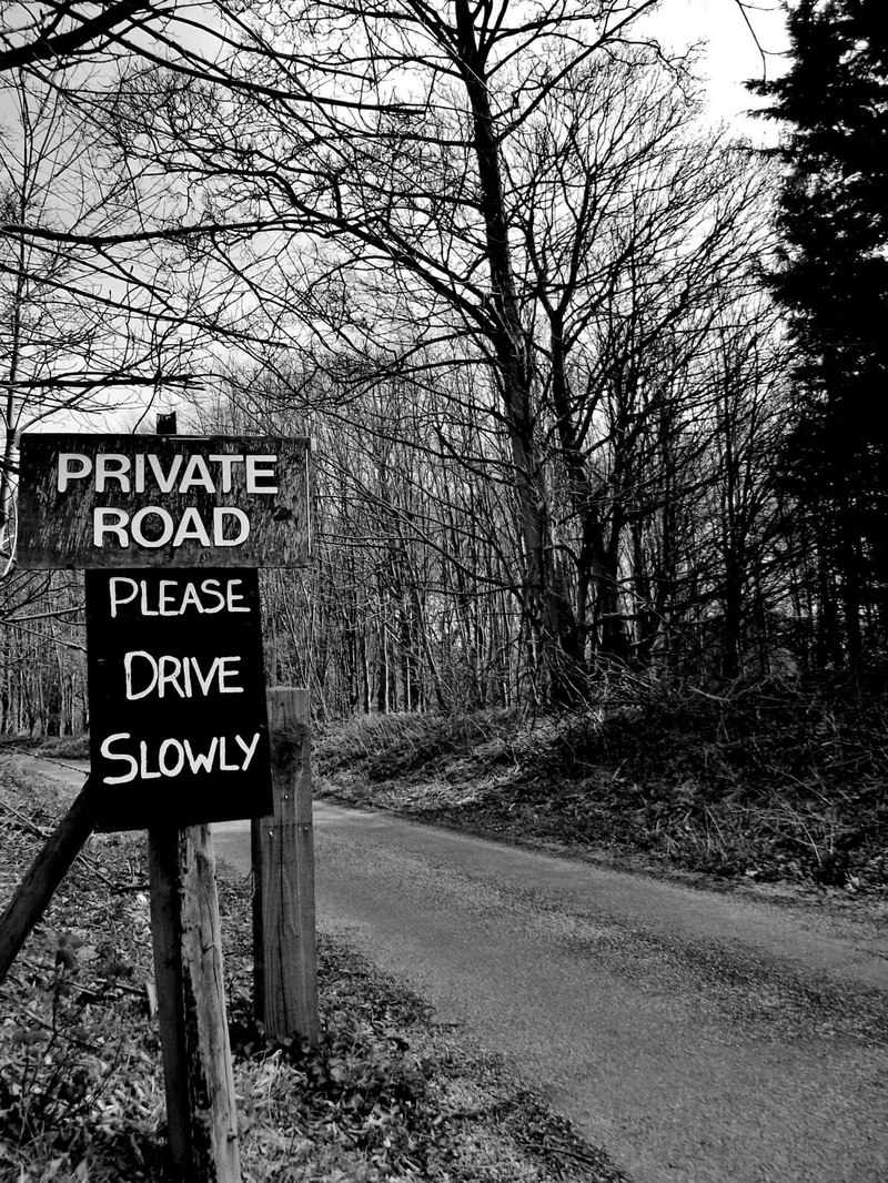 Road, text, drive, landscape, information, day, forest, land, Private, road, 1080P, warning, private, nature, western script, plant, Property, information sign