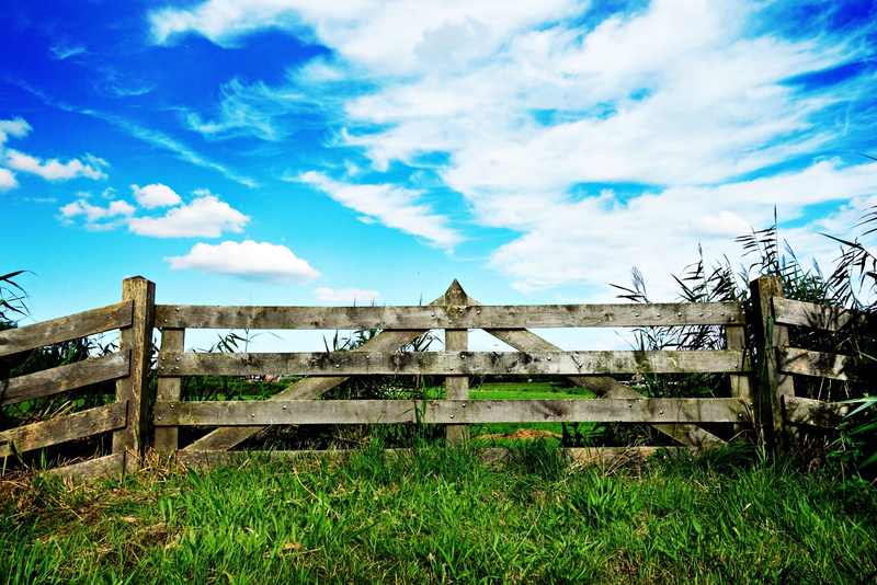 protection, land, boundary, built structure, wood - material, brown, day, nature, keep out, wooden gate, rural scene, fence, barrier, landscape, field
