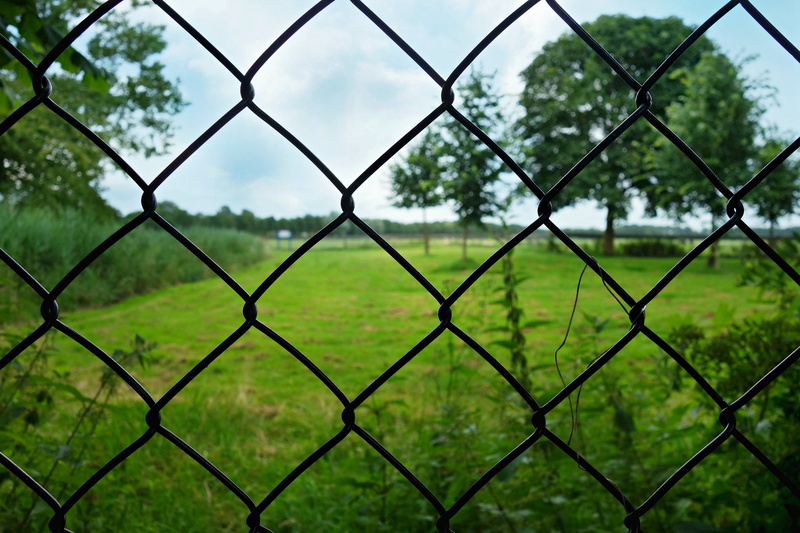 green color, security, safety, plant, no entrance, pattern, outdoors, mesh, focus on foreground, dom, fence, protection, metal, nature, full frame, barrier