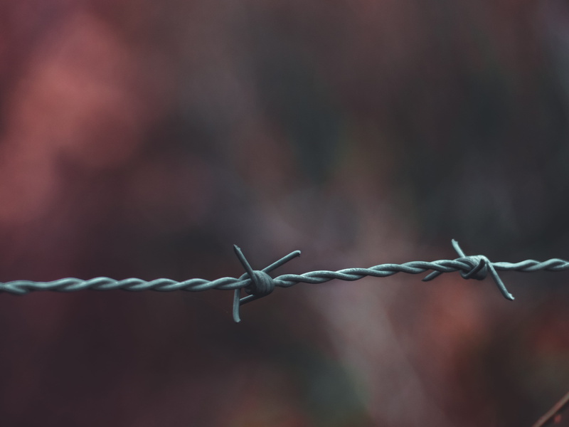 keep out, safety, boundary, no people, twisted, photography, forbidden, nature, field, gray, barrier, focus, barbwire, focus on foreground, wire, protection