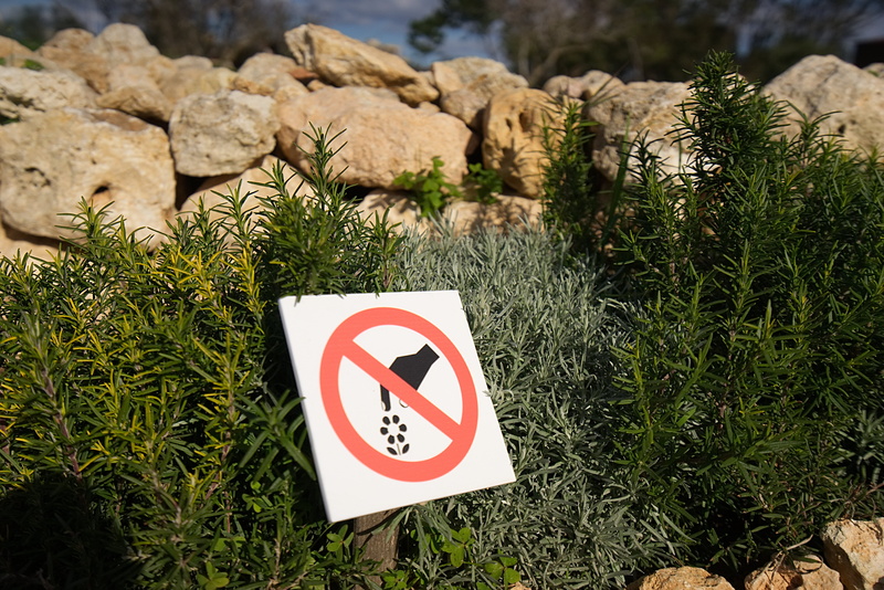 day, growth, malta, human representation, green color, flowers, rock, information sign, outdoors, grass, solid, plant, 5K, ix-xagħra, ġgantija, dry, land