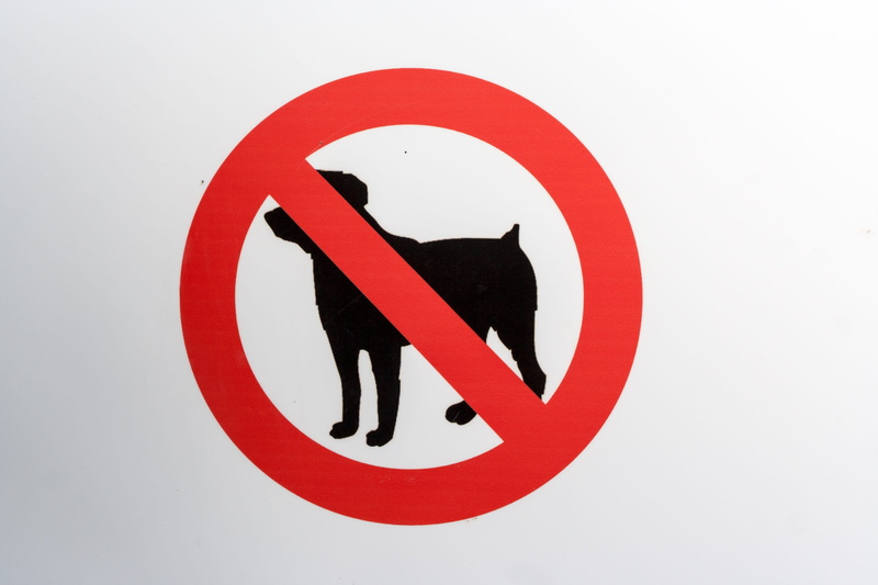 no people, black color, round, white, communication, restriction, close-up, information, dog, sign, copy space, forbidden, banned, representation, indoors