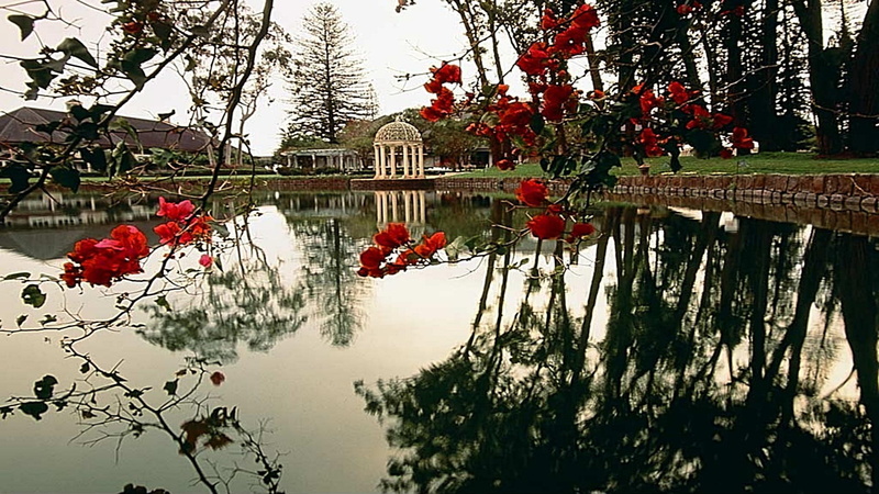 beauty, warm, 1080P, restriction, animals, cool