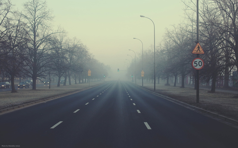 no people, restriction, transportation, fog, nature, bare tree, road, Away we go, road sign, morning, concrete, communication, direction, treelined, 2K