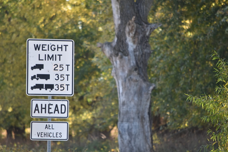 symbol, focus on foreground, text, nature, transportation, Restriction, directional sign, Weight Limit, tree, plant, direction, 5K, trunk, information sign