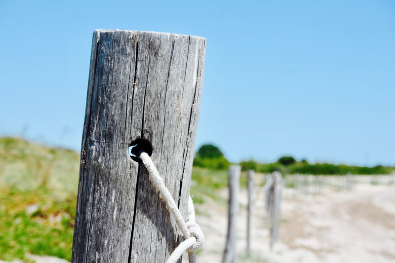 outdoors, Wood, walk, summer, weathered, post, Sea, blue, rural Scene, sunlight, day, Sand, top, nature, land, focus on foreground, old, wood - Material