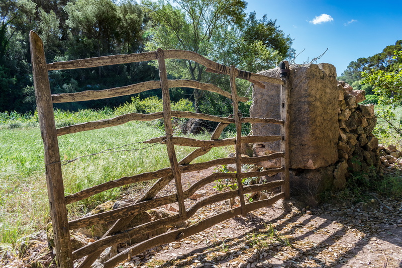tree, rural scene, stone wall, vintage, Wooden, nature, texture, country, Old, damaged, outdoors, Gate, built structure, fence, day, weathered, plant, history