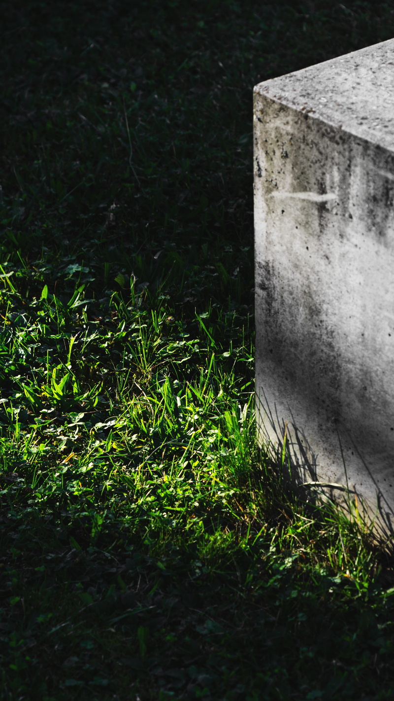 tombstone, crow, built structure, weed, stone, architecture, symbol, high angle view, sunlight, outdoors, grass, green, concrete, sewer, tranquility, tomb