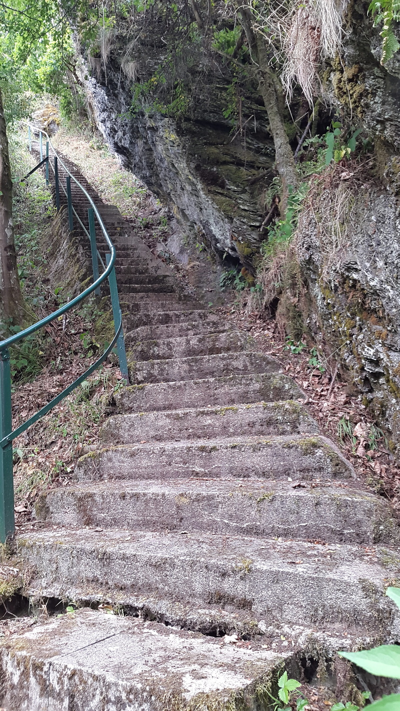 no people, plant, stairs, relaxation, staircase, growth, view, railing, trail, idyllic, built structure, wellness, mystical, nature, 4K, day, away, footpath