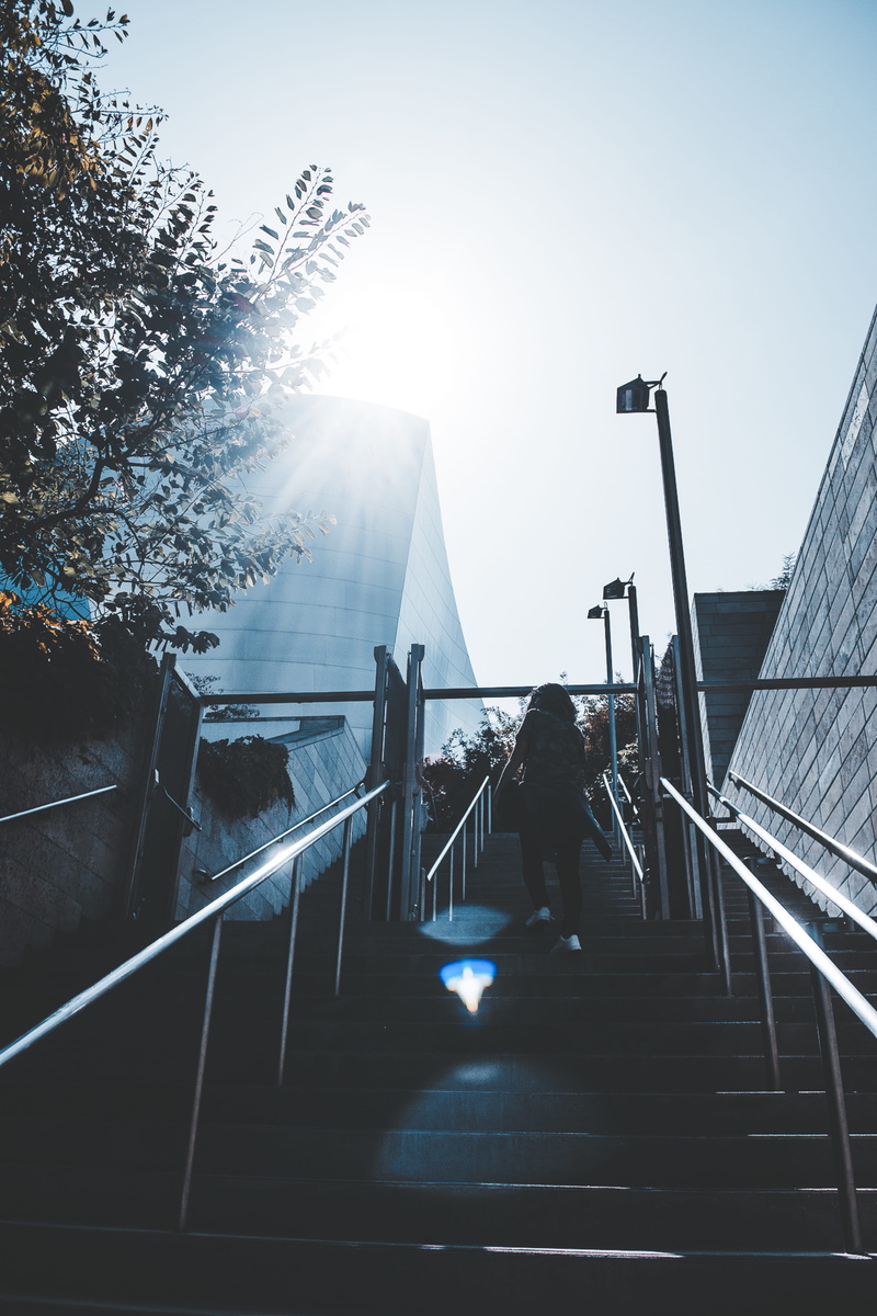 morning sun, urban, landscape, design, environment, bright, upstairs, people, scenery, person, sight, day, trees, concrete, lens flare, building exterior