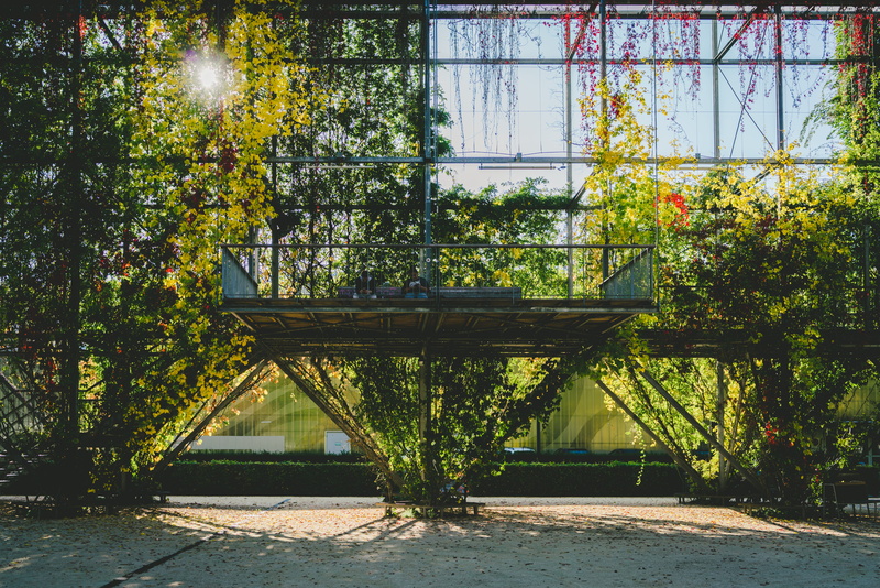 abstract, glass - material, architecture, built structure, sunlight, sun, shadow, tree, green color, switzerland, growth, reflection, park, plant, outdoors