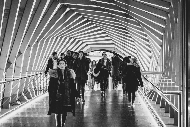 animal, casual clothing, architecture, men, pedestrian, railing, lifestyles, pants, crowd, clothing, train, built structure, overcoat, real people, banister