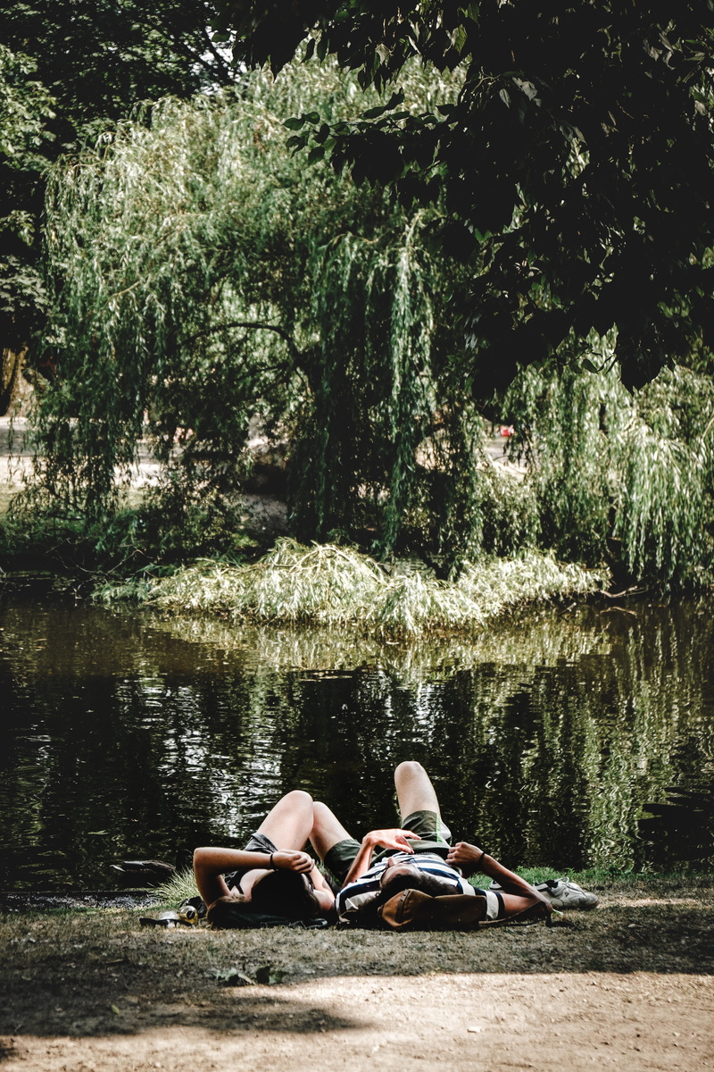 plant, jar, pottery, tree, lifestyles, couple - relationship, 5K, women, forest, adult, oars, real people, transportation, leisure activity, boat, togetherness