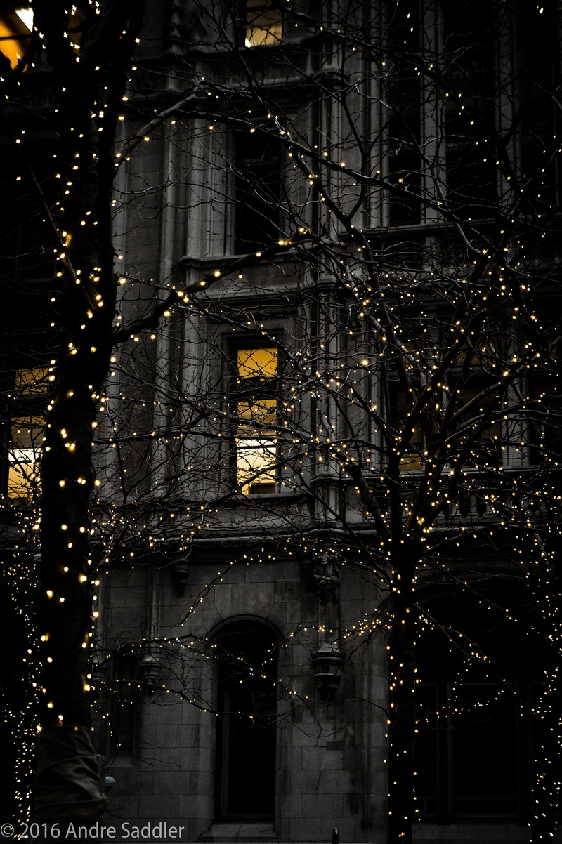 nature, built structure, trees, building, lighting equipment, building exterior, the past, portrait display, decoration, lights, plant, gray, religion