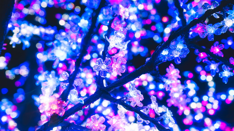 5K, vancouver, canada, light - natural phenomenon, branch, focus on foreground, plant, illuminated, holiday, aesthetic, lighting equipment, close-up, no people
