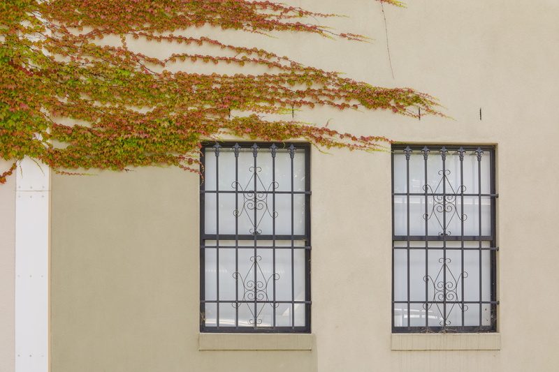 house, windows, architecture, building, no people, autumn, outdoors, grille, brick, plant, blossom, campus, nature, banister, growth, door, wall - building feature