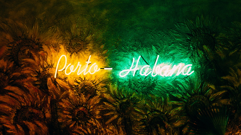 neon sign, animal, sign, animal wildlife, religion, art, night, illustration, 4K, sea, signage, animal themes, light - natural phenomenon, porto-habana