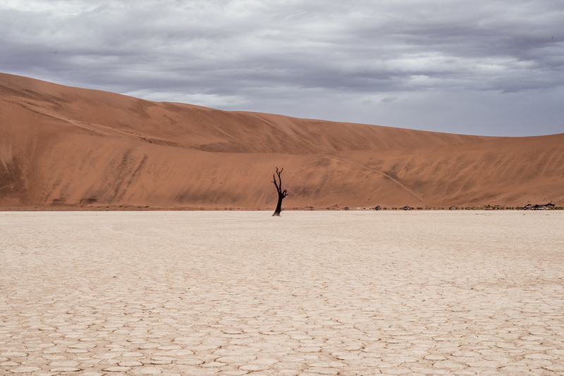 tranquility, real people, arid climate, non-urban scene, land, tranquil scene, parched, one person, outdoors, sky, landscape, men, environment, arms raised
