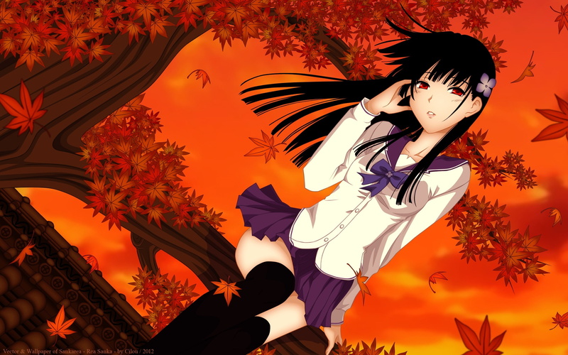 rea, seasons, hd, dom, sankarea, autumn, art, x, anime, nature, freedom, girls, 2K, wind, brunettes, leaves, sanka, orange, season