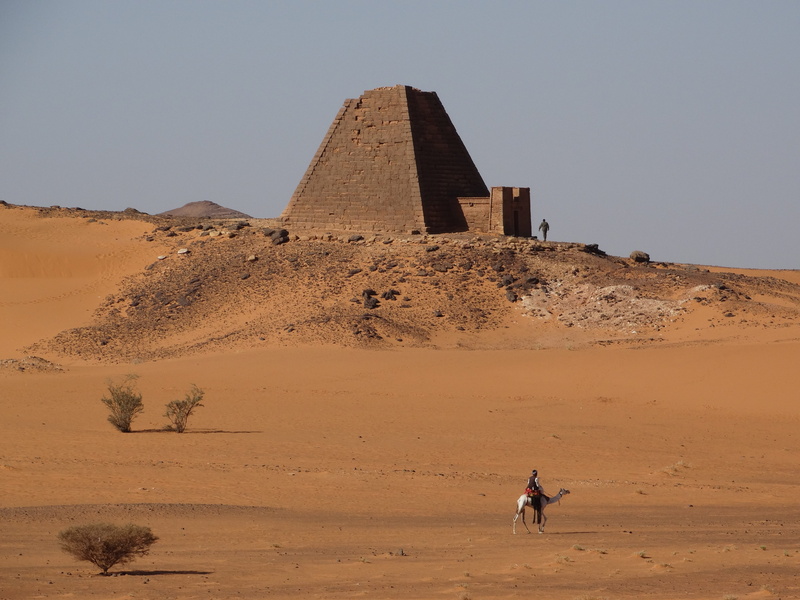 one animal, outdoors, sand, khartoum, the past, ancient civilization, animal, land, travel destinations, mammal, sky, nature, arid climate, travel, 5K