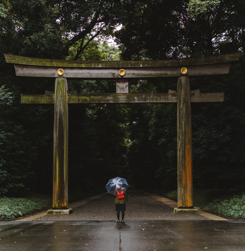 green, women, 5K, umbrella, outdoors, leisure activity, wooden, daytime, shrine, bridge, fall, backpack, one person, female, day, real people, standing