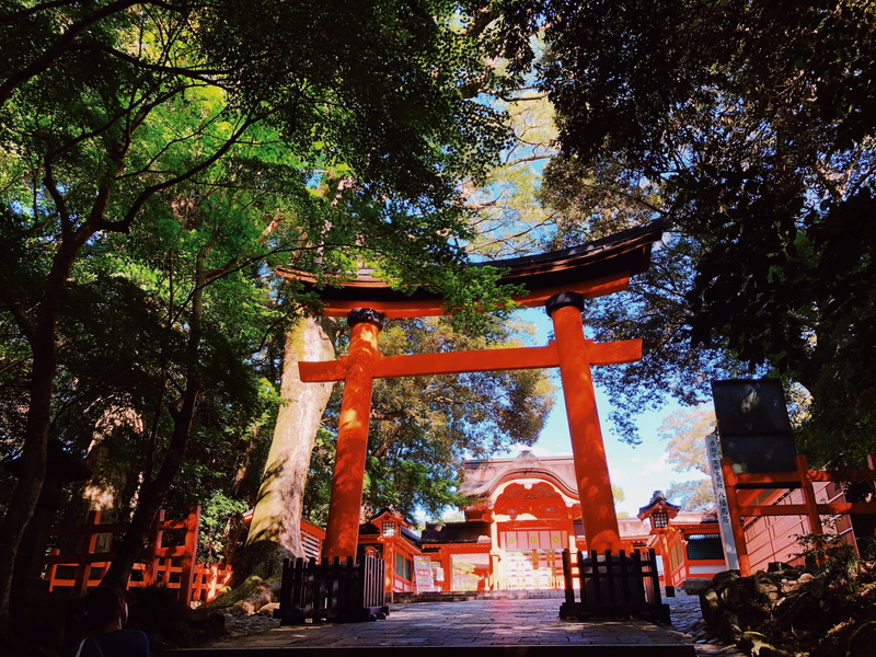 building exterior, japan, forest, shrine, plant, religion, architecture, architectural column, spirituality, built structure, nature, tree, 5 minamiusa