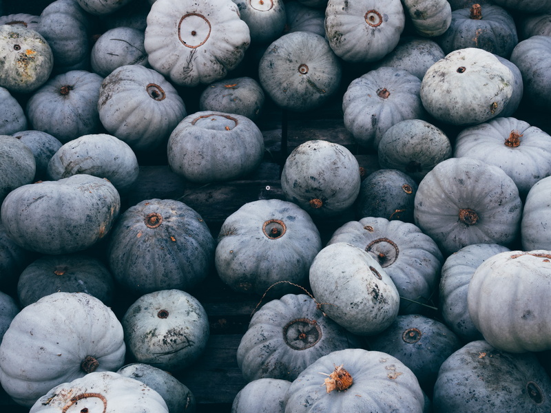 no People, close-up, squash, harvest, freshness, food, bunch, halloween, wood, farm, blue pumpkin, vegetarian Food, pumpkin, fall, cold, market, backgrounds