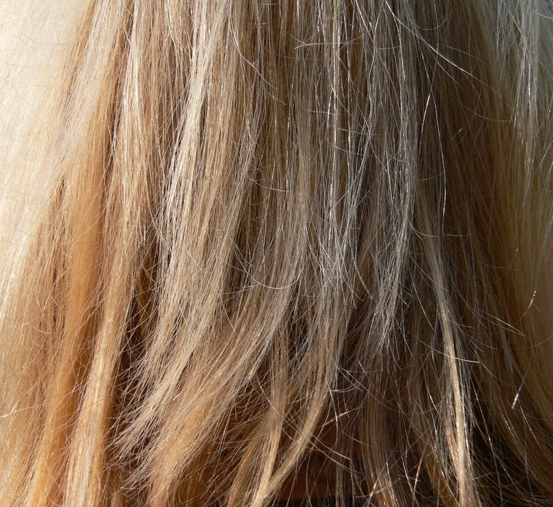 blond, blonde, portrait, brown hair, comb, lifestyles, hairstyle, hairy, obscured face, cut, human body part, color, woman, backgrounds, barber beauty shop