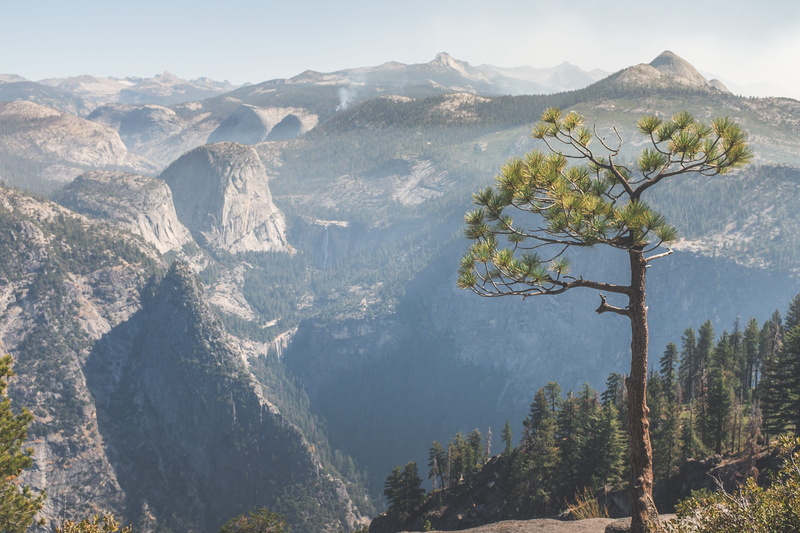 coniferous tree, landscape, formation, united states, yosemite valley, glacierpoint, water, remote, yosemite, scenics - nature, 5K, plant, non-urban scene