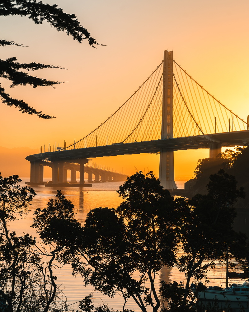 golden, architecture, sunset, san francisco – oakland bay bridge, built structure, transportation, dusk, tree, bridge - man made structure, suspension bridge