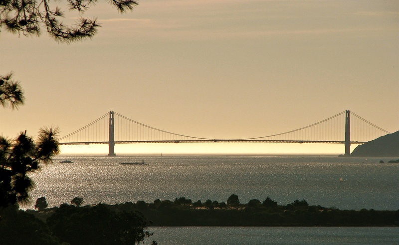 water, fog bank, bay, silhouette, sky, built structure, sea, tree, transportation, landmark, golden, marin, travel destinations, bridge - man made structure