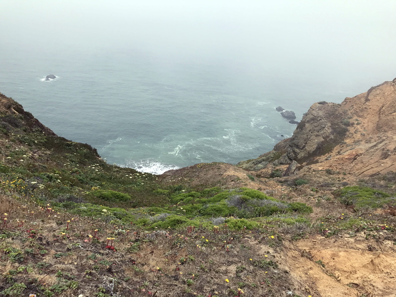 non-urban scene, sea, sky, outdoors, rock - object, no people, land, high angle view, pacific ocean, beauty in nature, marin headlands, plant, 4K, united states