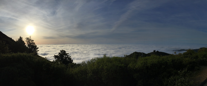 5K, marin, scenery, above the fog, growth, golden, horizon, hills, sunrise, sun, hiking, mount tamalpais, outdoors, tranquility, beauty in nature, sea