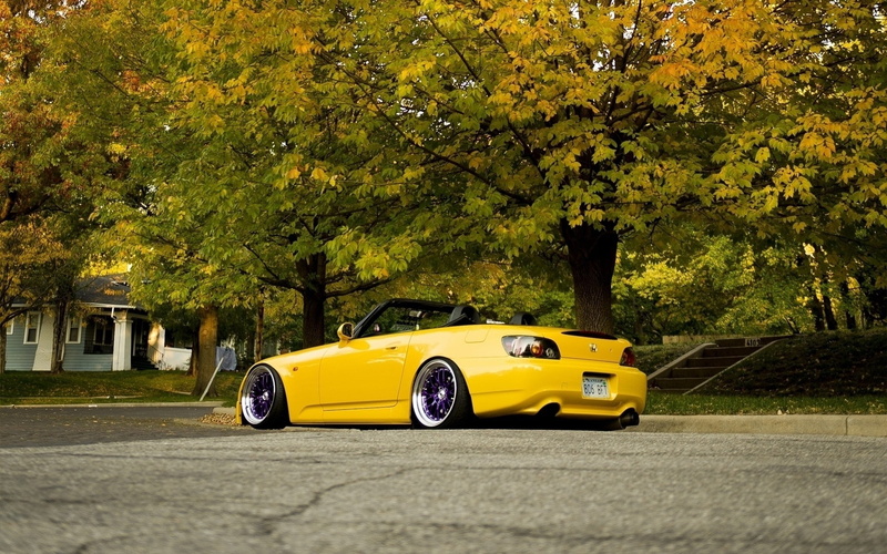 s, autumn, hella, autumn (season), jdm, season, Trees, art, 1080P, flush, honda, motorcycles, hd, x, cars