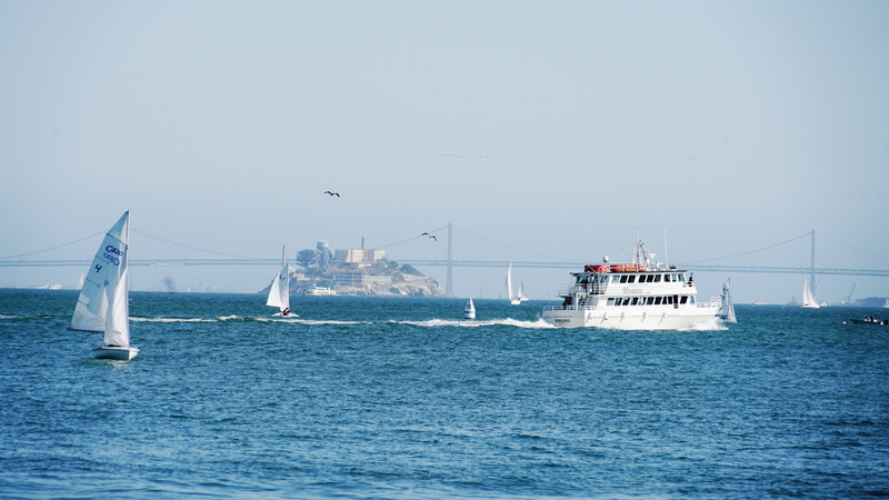 nature, transportation, passenger craft, sausalito, san francisco, copy space, sea, bayarea, yacht, outdoors, island, sailboat, no people, sky, water, waterfront