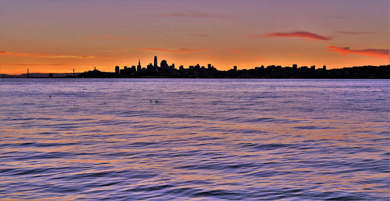skyscraper, architecture, silhouette, water, travel destinations, romantic sky, san fransico, scenics - nature, sky, beauty in nature, sea, cityscape, city