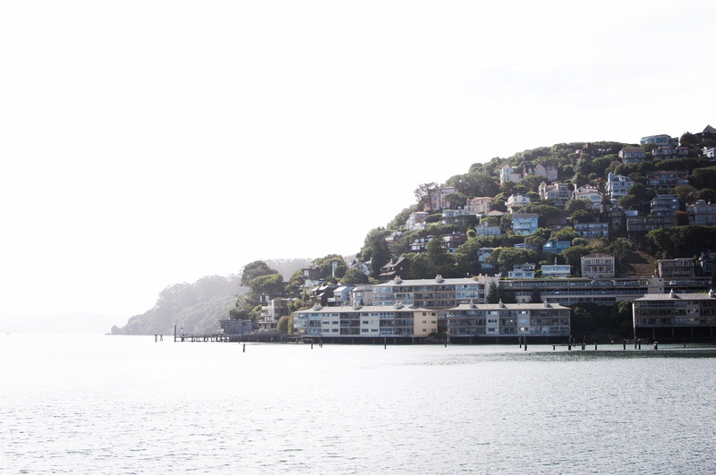 no people, residential district, built structure, waterfront, architecture, california, sausalito, sea, day, houses, building exterior, townscape, mountain