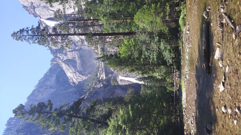 mountain, nature, mountain range, united states, scenics - nature, non-urban scene, plant, land, growth, calirfornia, day, beauty in nature, tranquility