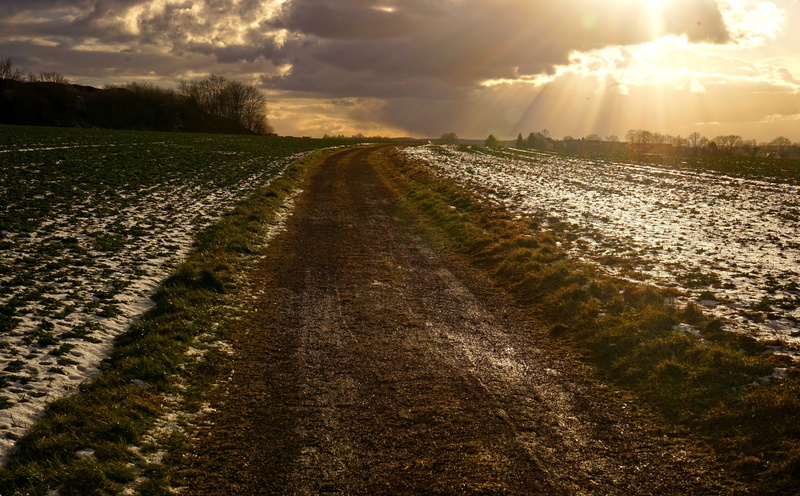 tranquil scene, the way forward, go, dirt, cloud - sky, diminishing perspective, sun, outdoors, tranquility, field, beauty in nature, plant, land, road