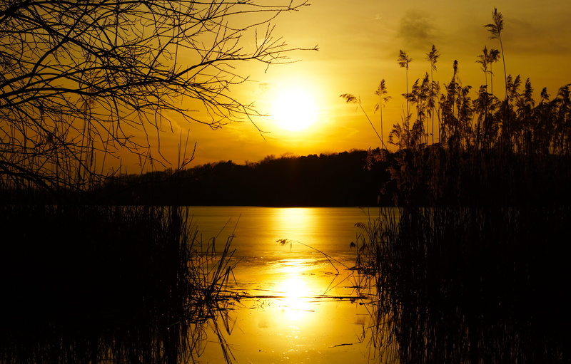 no people, sunset, reflection lake, reflection, scenics - nature, orange color, water, king of the forest, tranquility, evening landscape, 5K, sacrow lake
