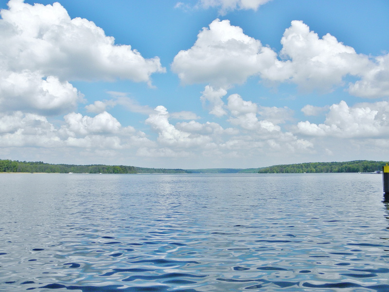 plant, germany, tranquility, mood, outdoors, calm, rest, clouds, day, lagoon, 4K, sea, water, non-urban scene, rippled, spring, lake, nature, blue, tree