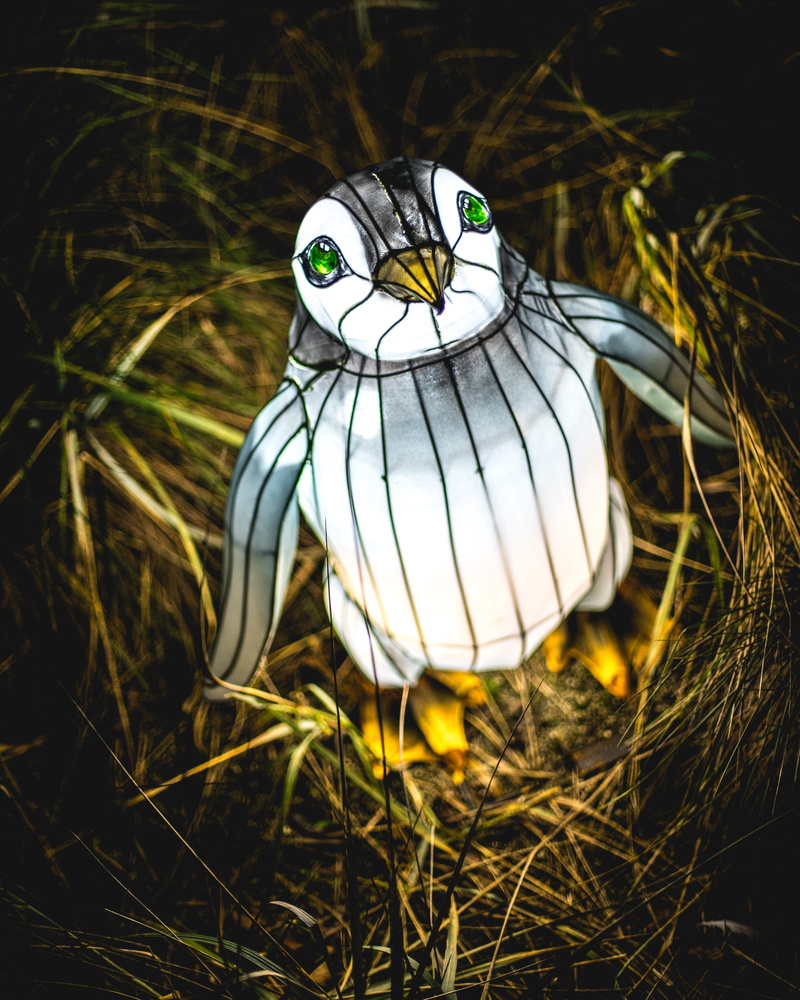 grass, perching, representation, dublin 8, close-up, dublin zoo, nature, ireland, light, day, selective focus, land, animal wildlife, bird, vertebrate