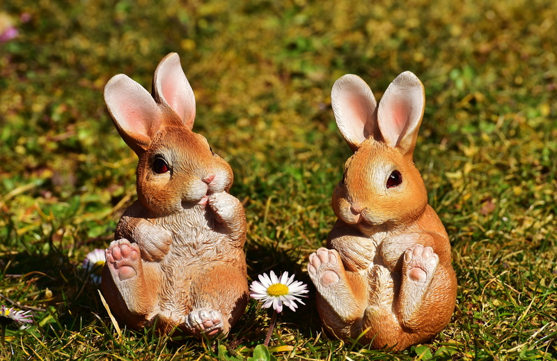 outdoors, holiday, spring, animal representation, field, egg, easter egg, animal, representation, funny, plant, easter, greeting card, celebration, decoration