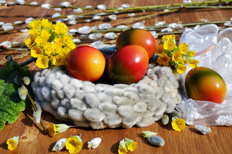 wellbeing, decors, photography, colors of nature, nest, wood - material, yellow, easter decorations, indoors, easter greeting, no people, red, cowslip