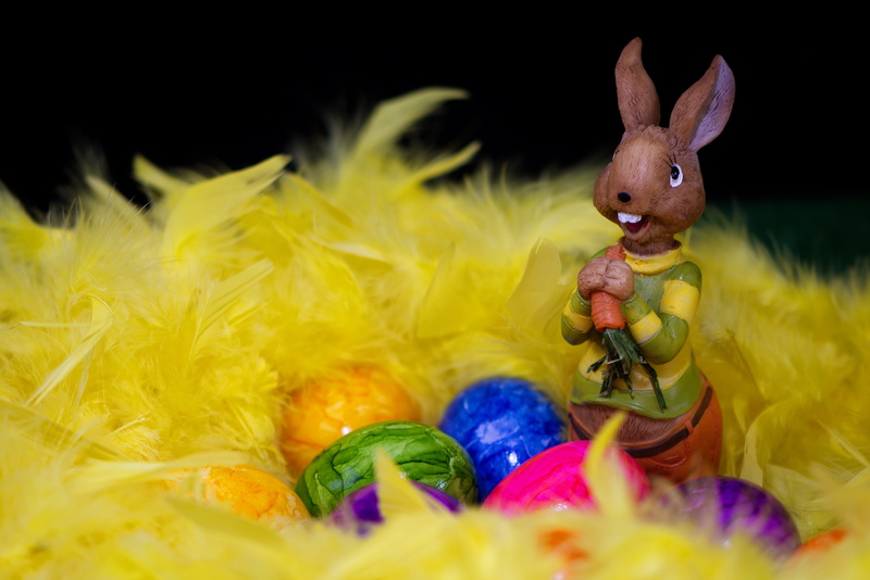 easter greetings, funny, holiday - event, multi colored, color, greeting card, art and craft, spring, deco, animal, egg, easter theme, easter decoration