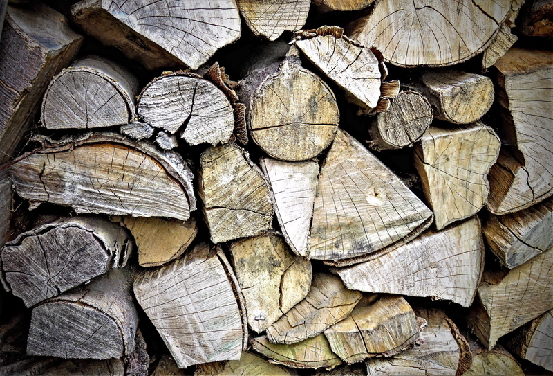 sawn, timber, chopped, fireplace, textured, backgrounds, no people, forest, wood, large group of objects, stock, wood - material, burn, heap, dry, tree